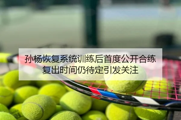 孙杨恢复系统训练后首度公开合练 复出时间仍待定引发关注