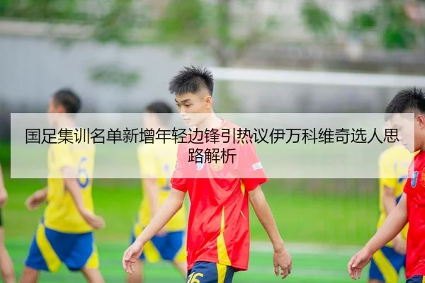 国足集训名单新增年轻边锋引热议伊万科维奇选人思路解析